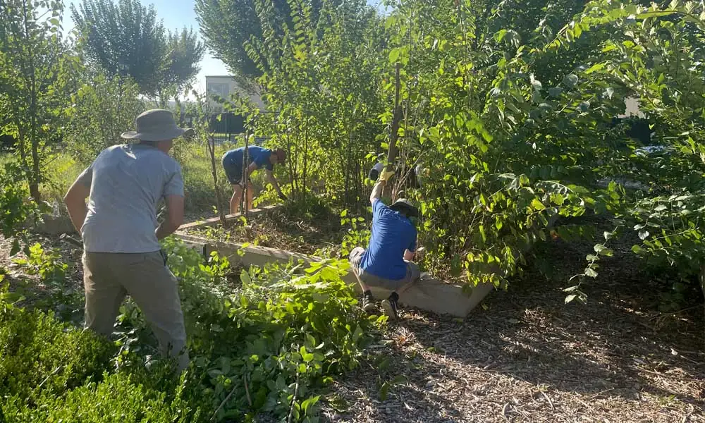 Volunteers gathered at the Lynn Community Garden at Expand