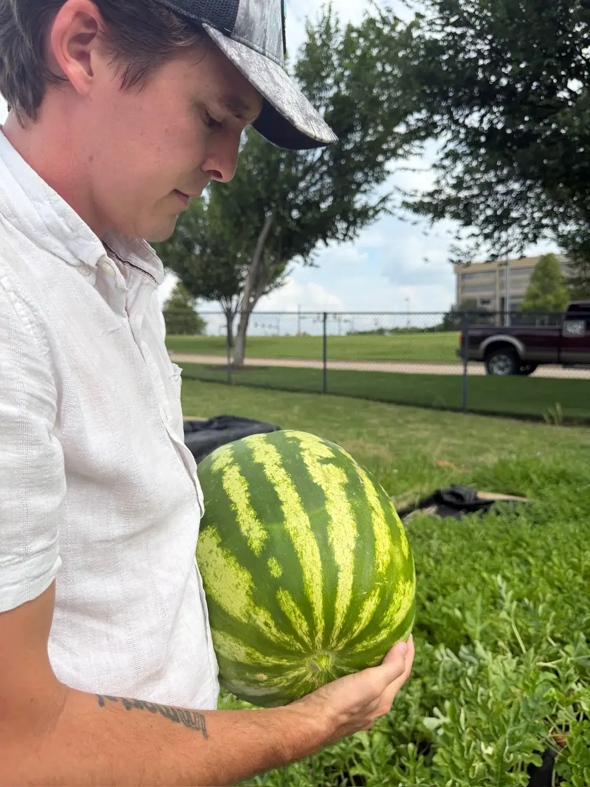 A volunteer holding a watermelon grown in the garden